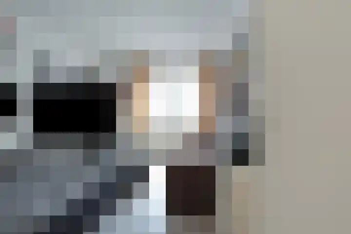 Baak van Petten 40 Amersfoort thumbnail 37