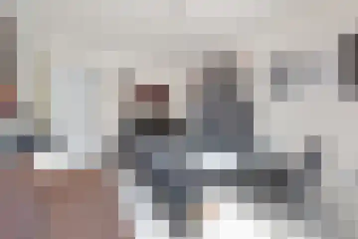 Baak van Petten 40 Amersfoort thumbnail 38