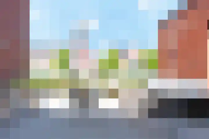Baak van Petten 40 Amersfoort thumbnail 39