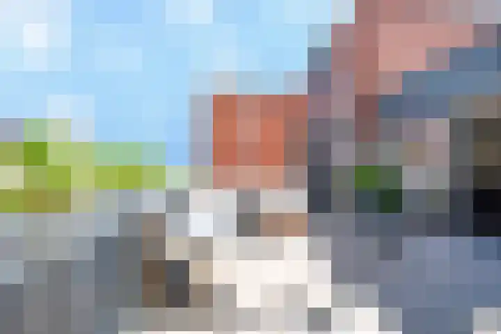 Baak van Petten 40 Amersfoort thumbnail 40