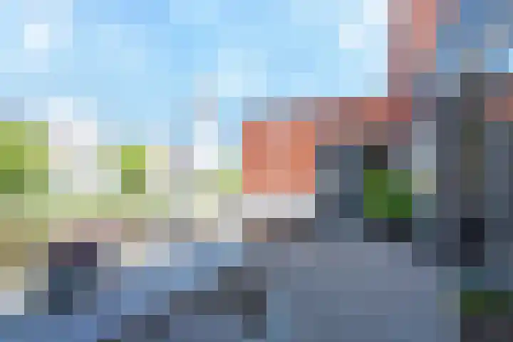 Baak van Petten 40 Amersfoort thumbnail 41