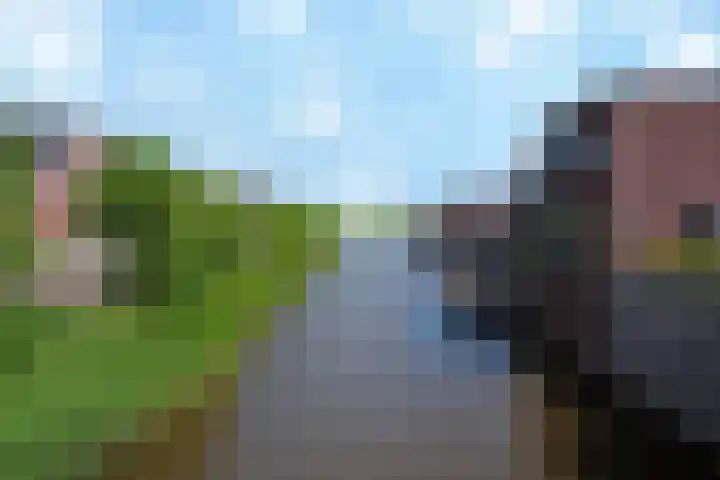 Baak van Petten 40 Amersfoort thumbnail 42