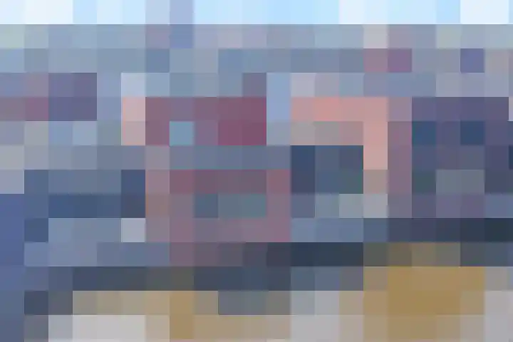Baak van Petten 40 Amersfoort thumbnail 43