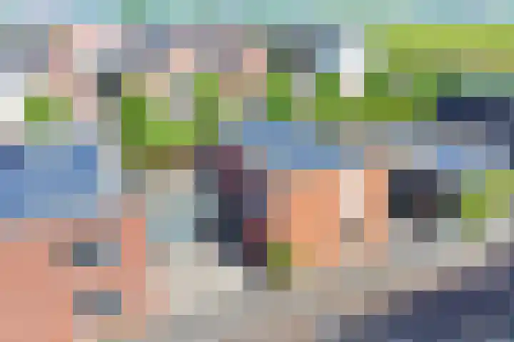 Baak van Petten 40 Amersfoort thumbnail 44