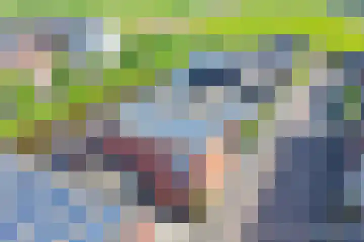 Baak van Petten 40 Amersfoort thumbnail 45