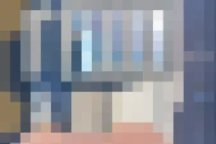 Baak van Petten 40 Amersfoort thumbnail 46