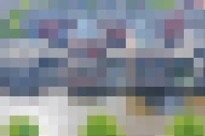 Baak van Petten 40 Amersfoort thumbnail 47