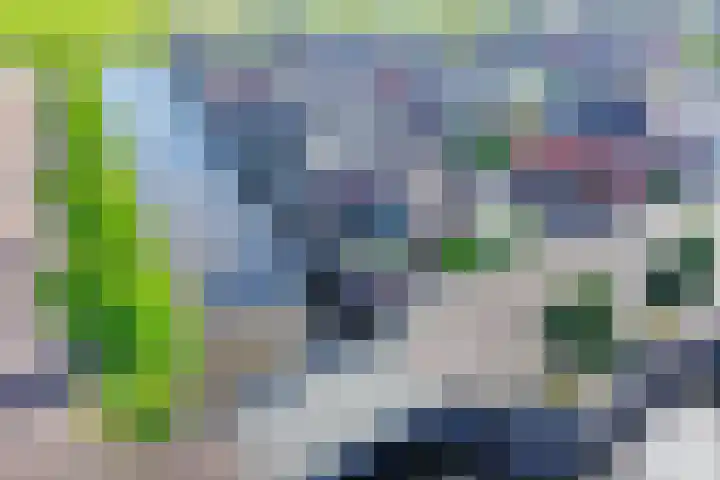 Baak van Petten 40 Amersfoort thumbnail 48