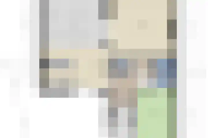 Baak van Petten 40 Amersfoort thumbnail 50
