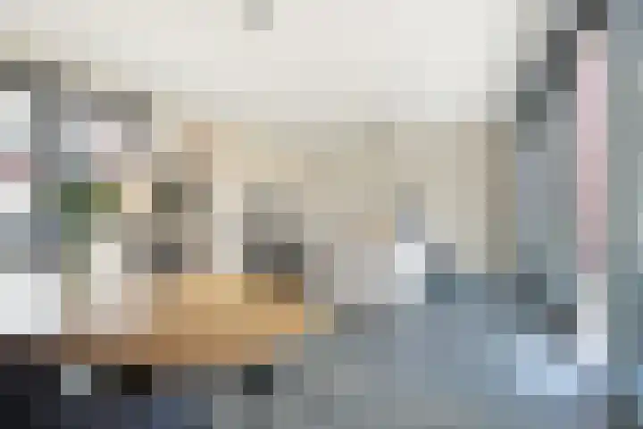 Baak van Petten 40 Amersfoort thumbnail 6