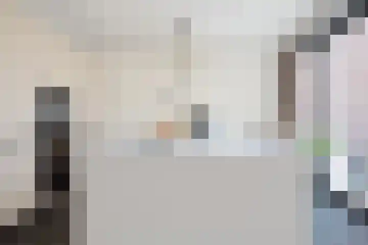 Baak van Petten 40 Amersfoort thumbnail 9