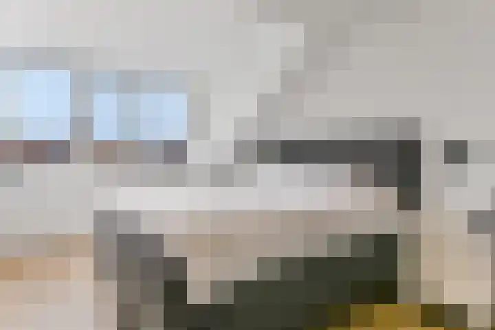Baak van Petten 81 Amersfoort thumbnail 25
