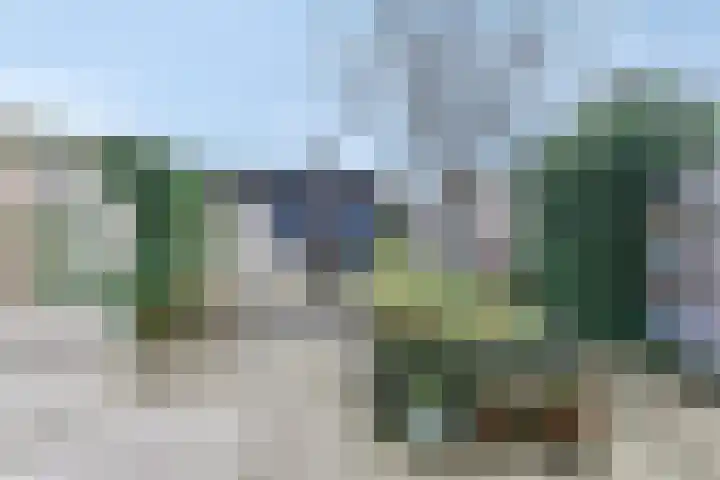Baak van Petten 81 Amersfoort thumbnail 34