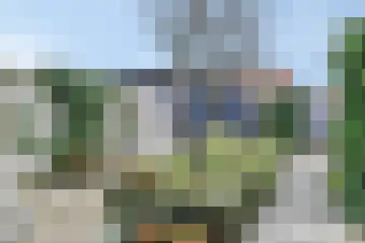 Baak van Petten 81 Amersfoort thumbnail 35
