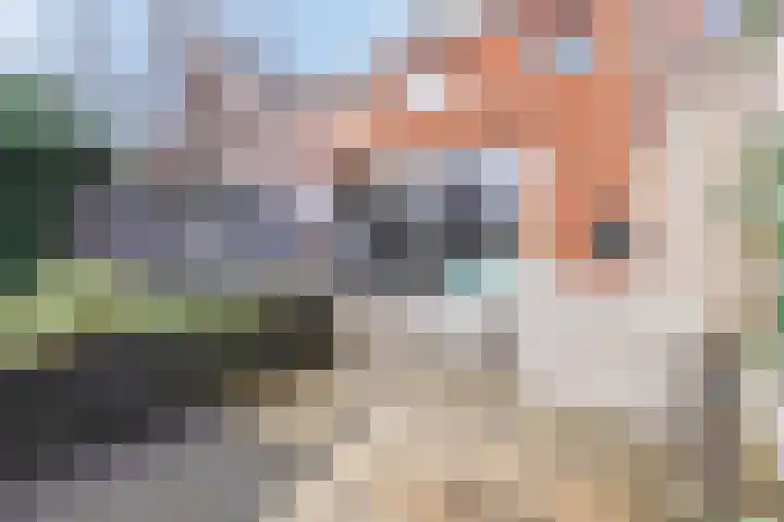 Baak van Petten 81 Amersfoort thumbnail 36
