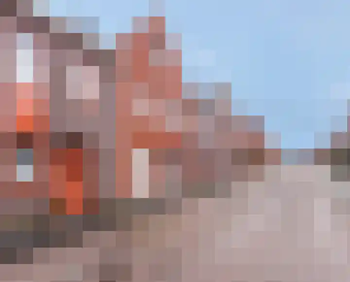 Baak van Petten 81 Amersfoort thumbnail 7
