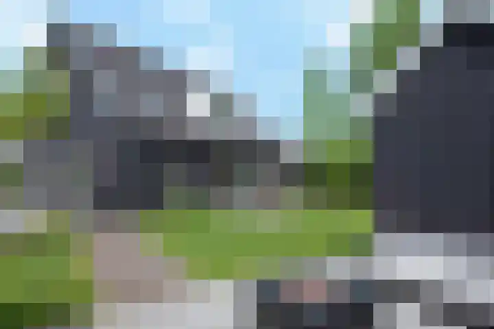 Baak van Scheveningen 38 Amersfoort thumbnail 10