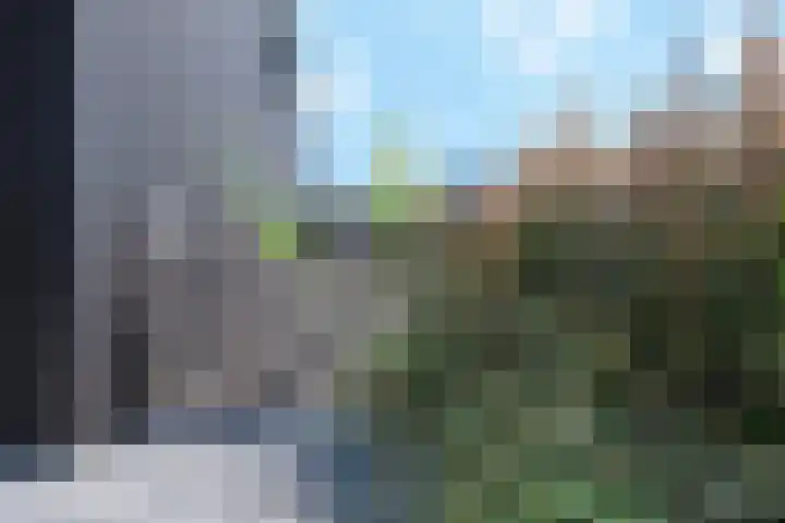 Baak van Scheveningen 38 Amersfoort thumbnail 14