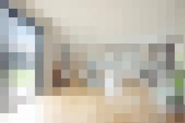 Baak van Scheveningen 38 Amersfoort thumbnail 26