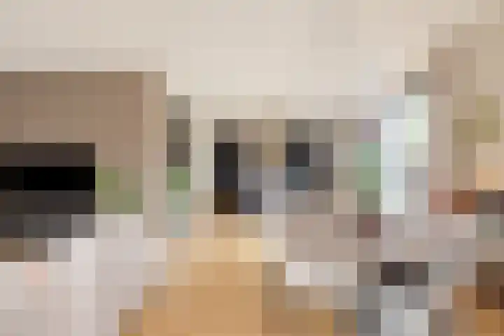 Baak van Scheveningen 38 Amersfoort thumbnail 32