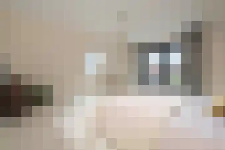 Baak van Scheveningen 38 Amersfoort thumbnail 38