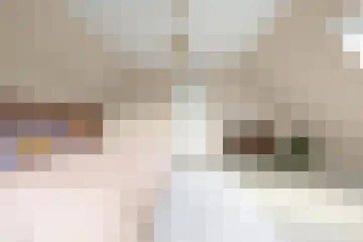 Baak van Scheveningen 38 Amersfoort thumbnail 39