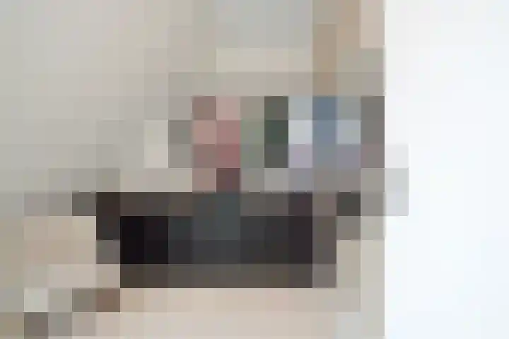 Baak van Scheveningen 38 Amersfoort thumbnail 41