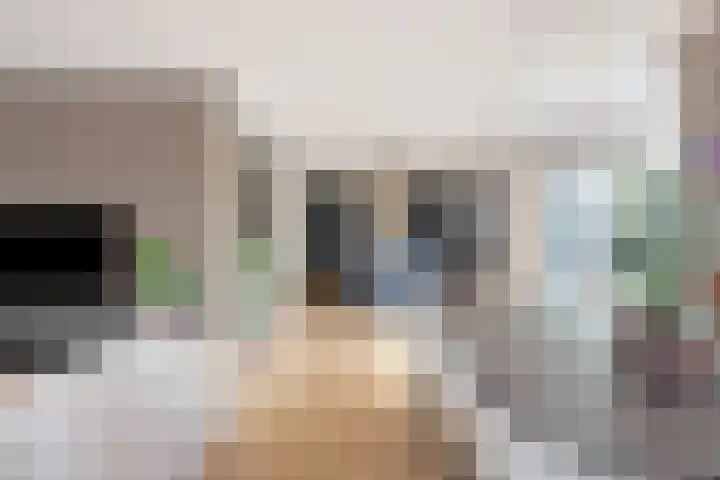 Baak van Scheveningen 38 Amersfoort thumbnail 5