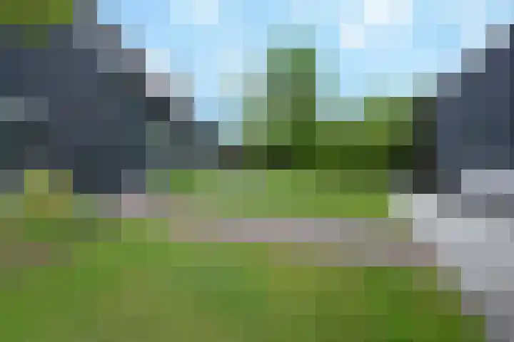 Baak van Scheveningen 38 Amersfoort thumbnail 55
