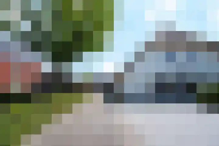 Baak van Scheveningen 38 Amersfoort thumbnail 57