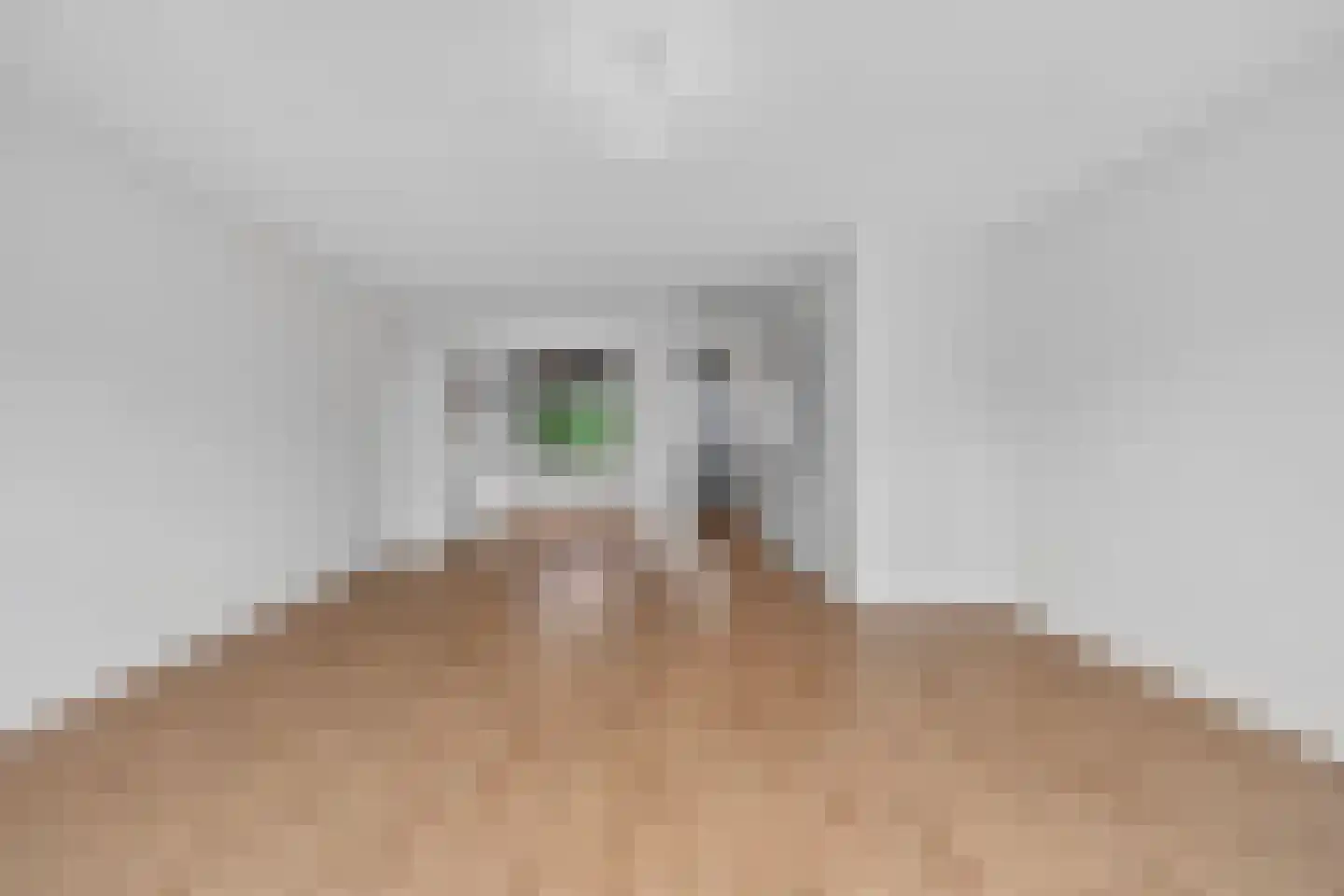 Baak van Scheveningen 45 Amersfoort thumbnail 10