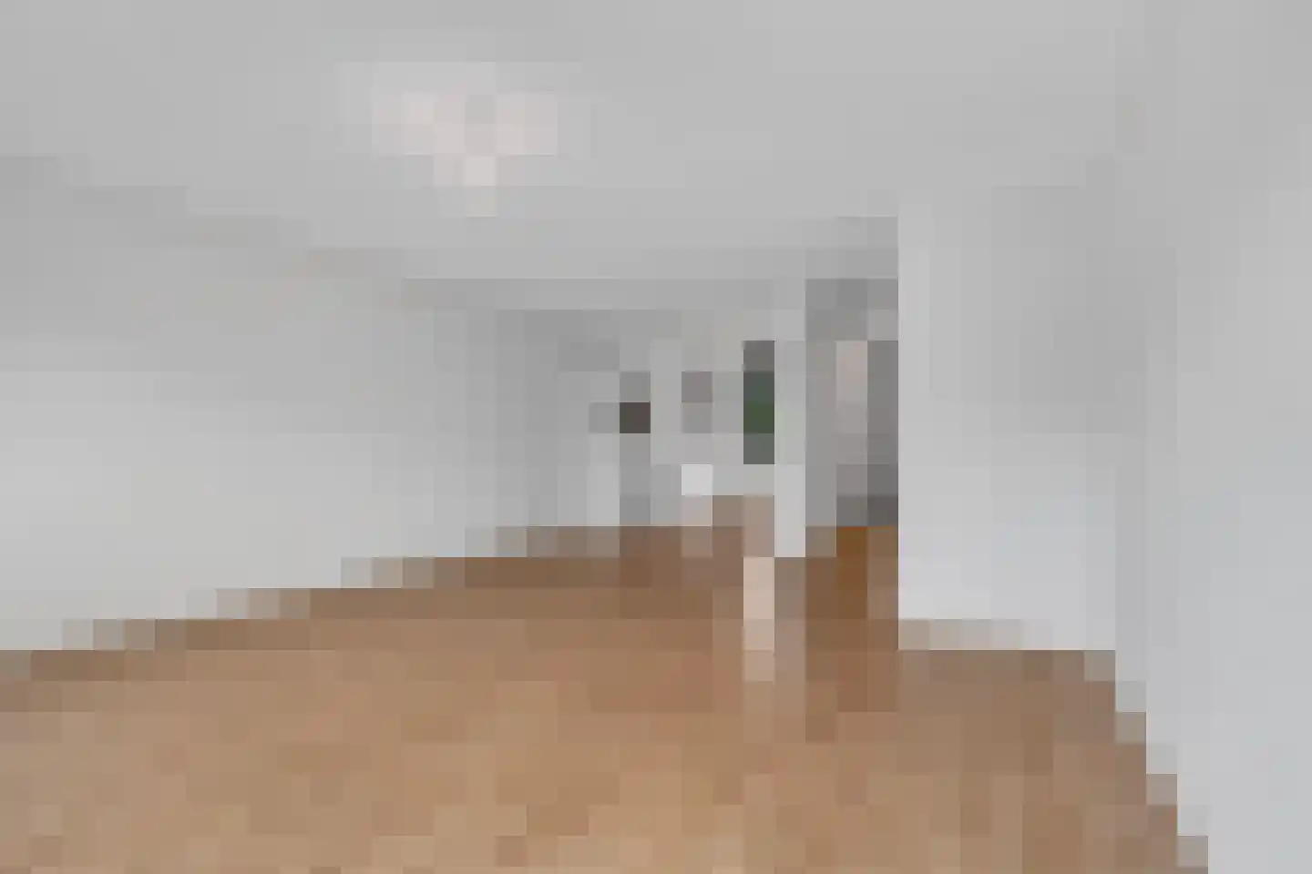 Baak van Scheveningen 45 Amersfoort thumbnail 11