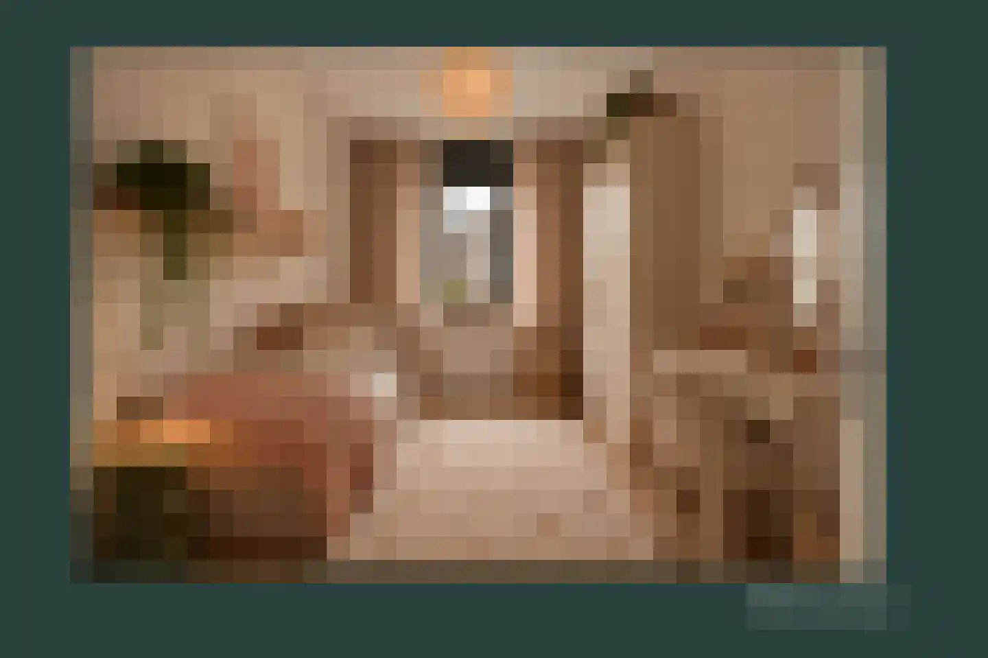 Baak van Scheveningen 45 Amersfoort thumbnail 20
