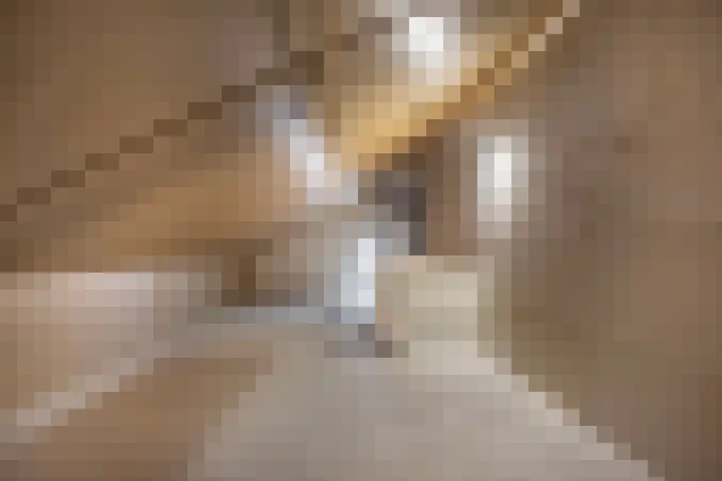 Baak van Scheveningen 45 Amersfoort thumbnail 29