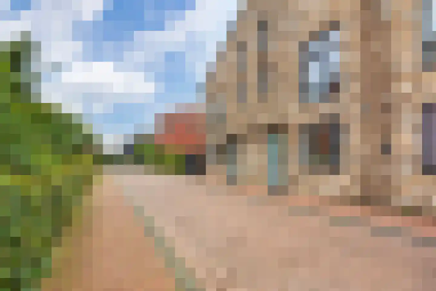 Baak van Scheveningen 45 Amersfoort thumbnail 30