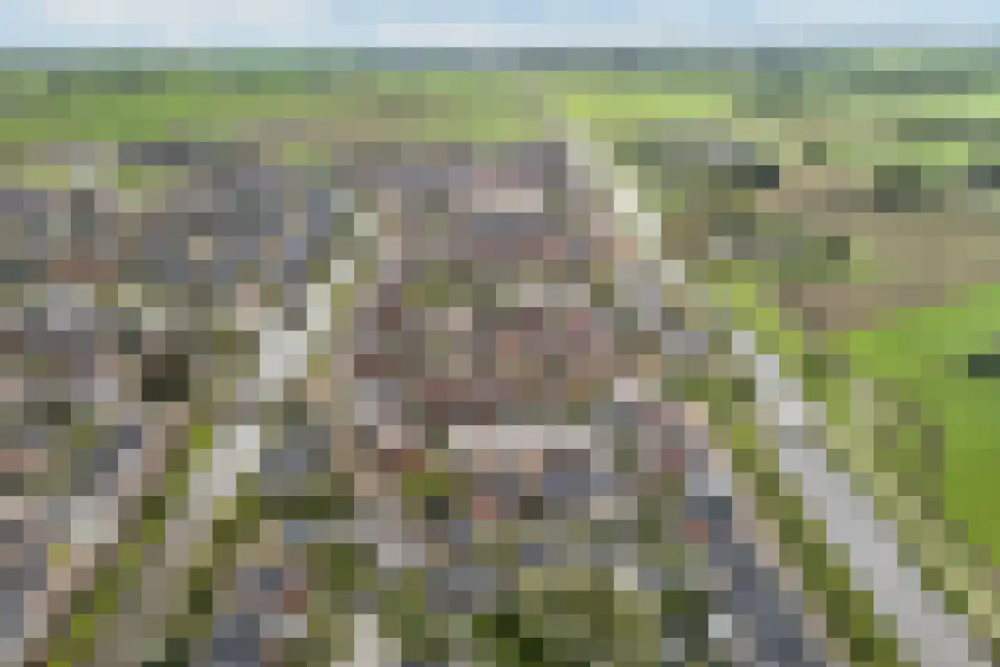Baak van Scheveningen 45 Amersfoort thumbnail 32