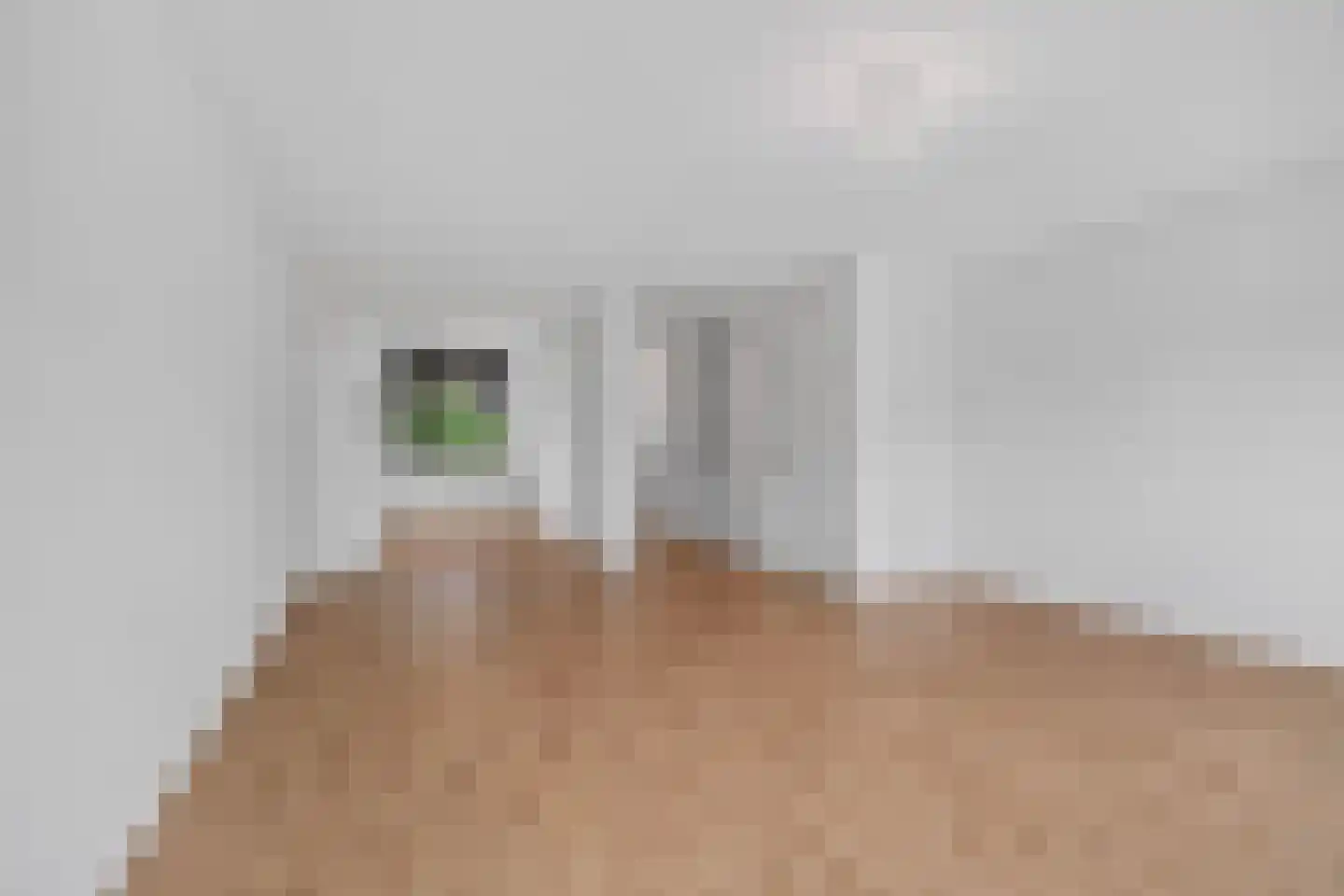Baak van Scheveningen 45 Amersfoort thumbnail 5