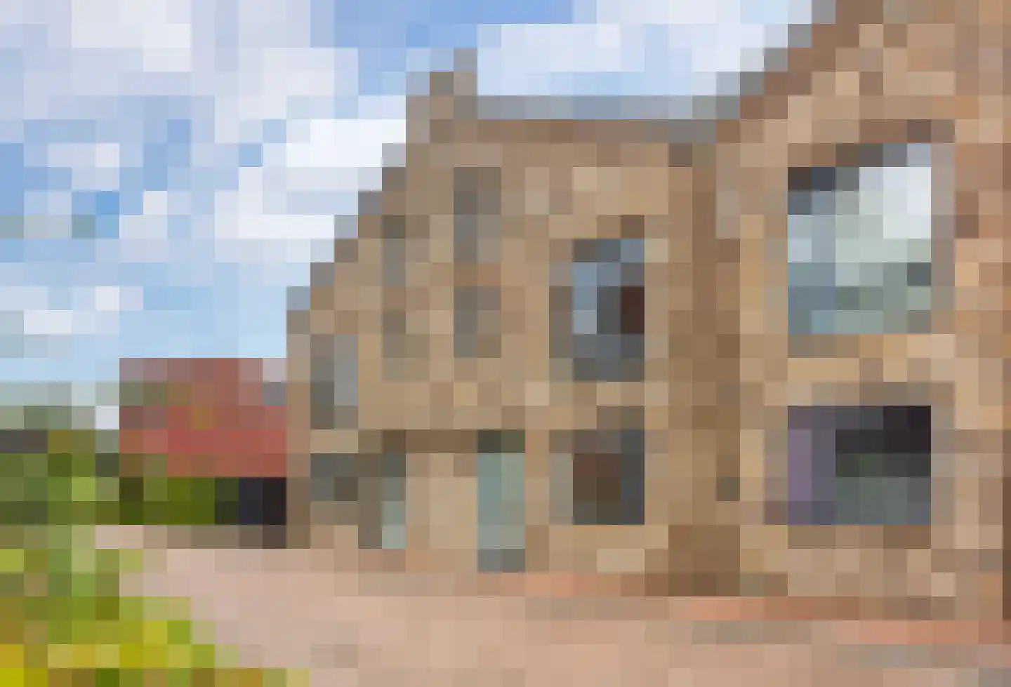 Baak van Scheveningen 45 Amersfoort thumbnail 7