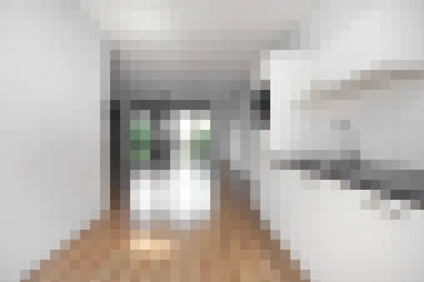 Baak van Scheveningen 49 Amersfoort thumbnail 11