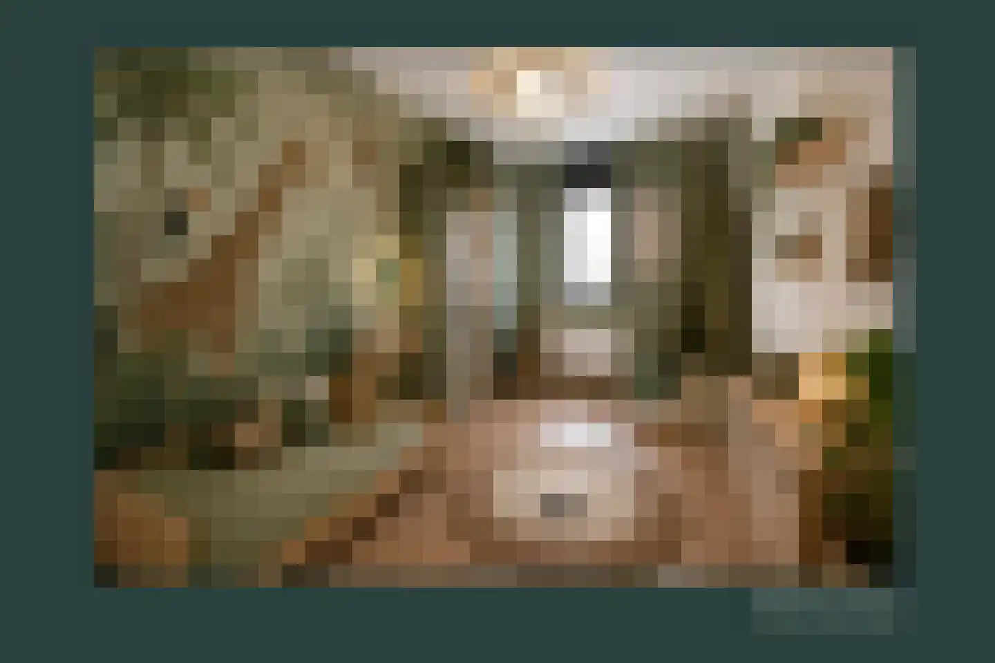 Baak van Scheveningen 49 Amersfoort thumbnail 21