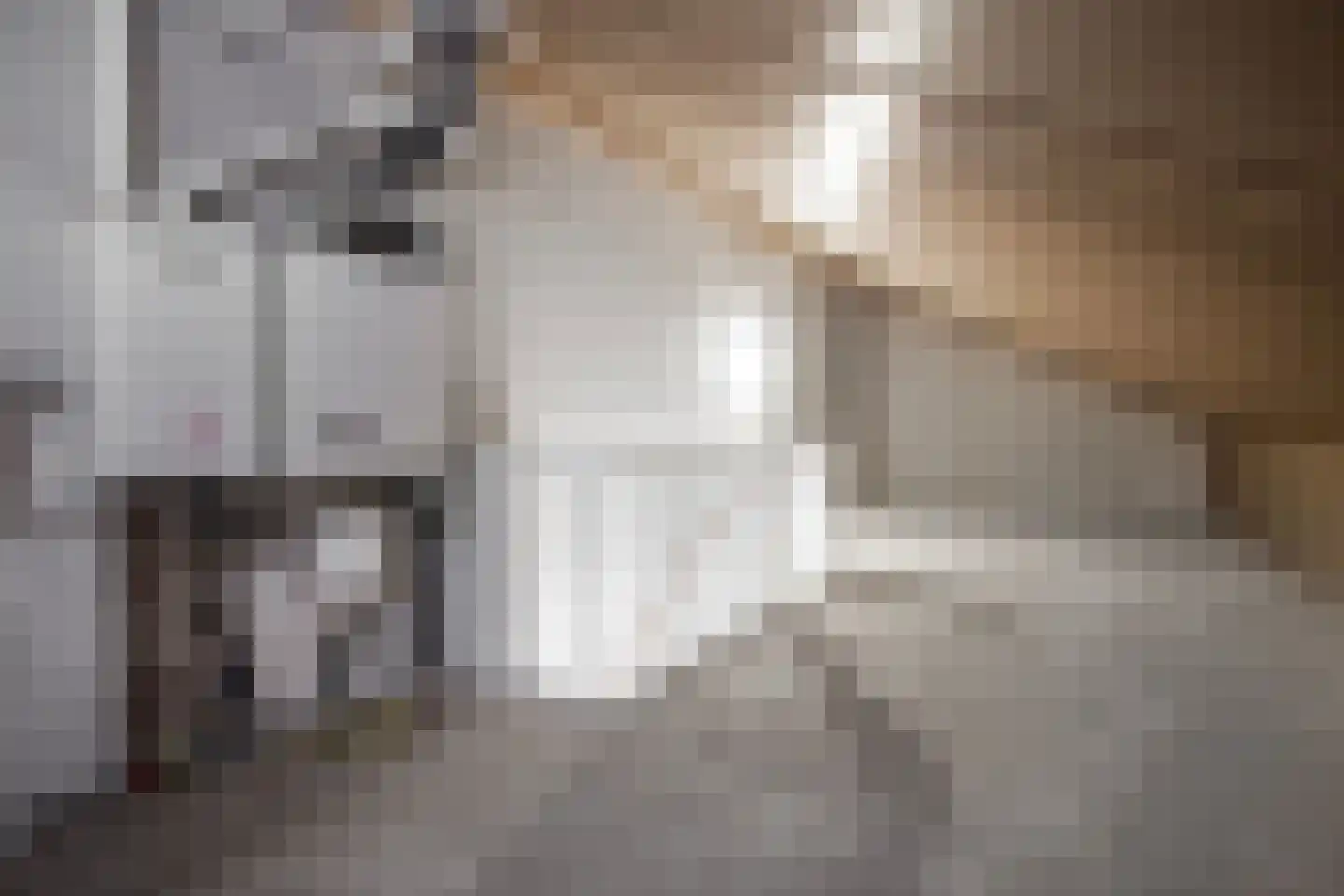 Baak van Scheveningen 49 Amersfoort thumbnail 32