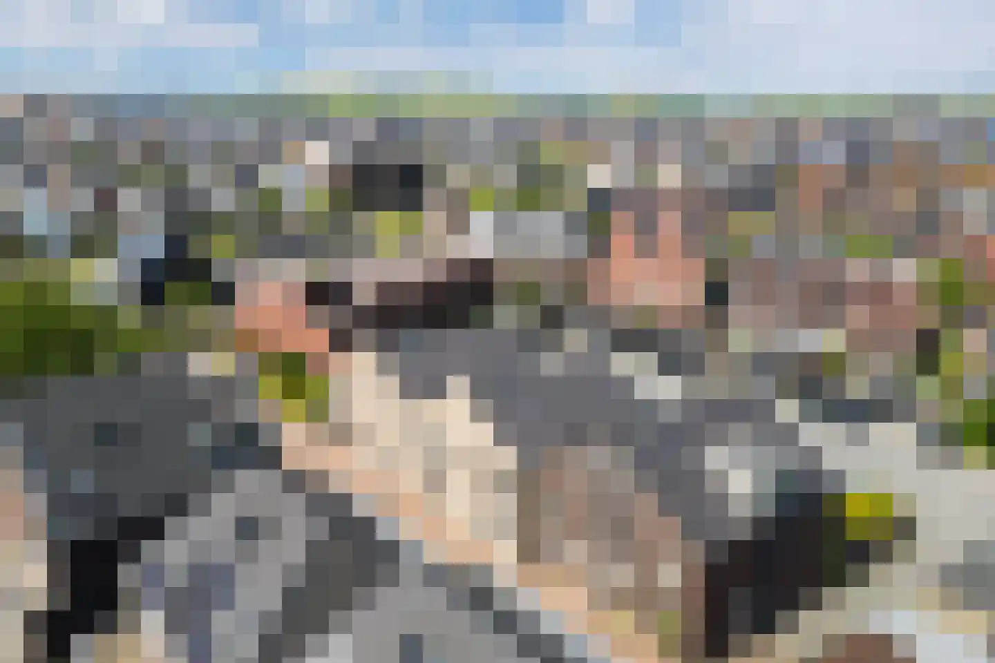 Baak van Scheveningen 49 Amersfoort thumbnail 38