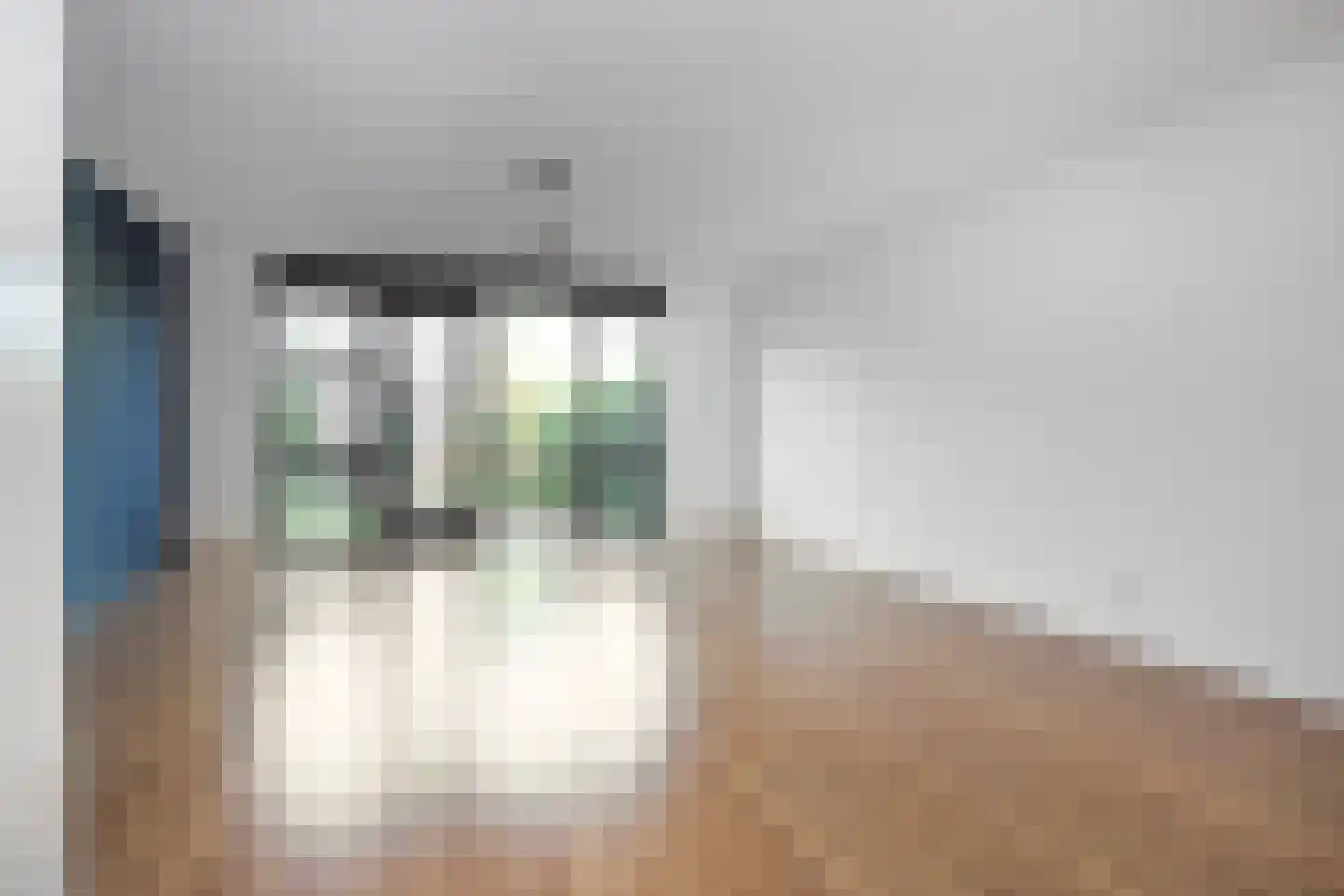 Baak van Scheveningen 49 Amersfoort thumbnail 7