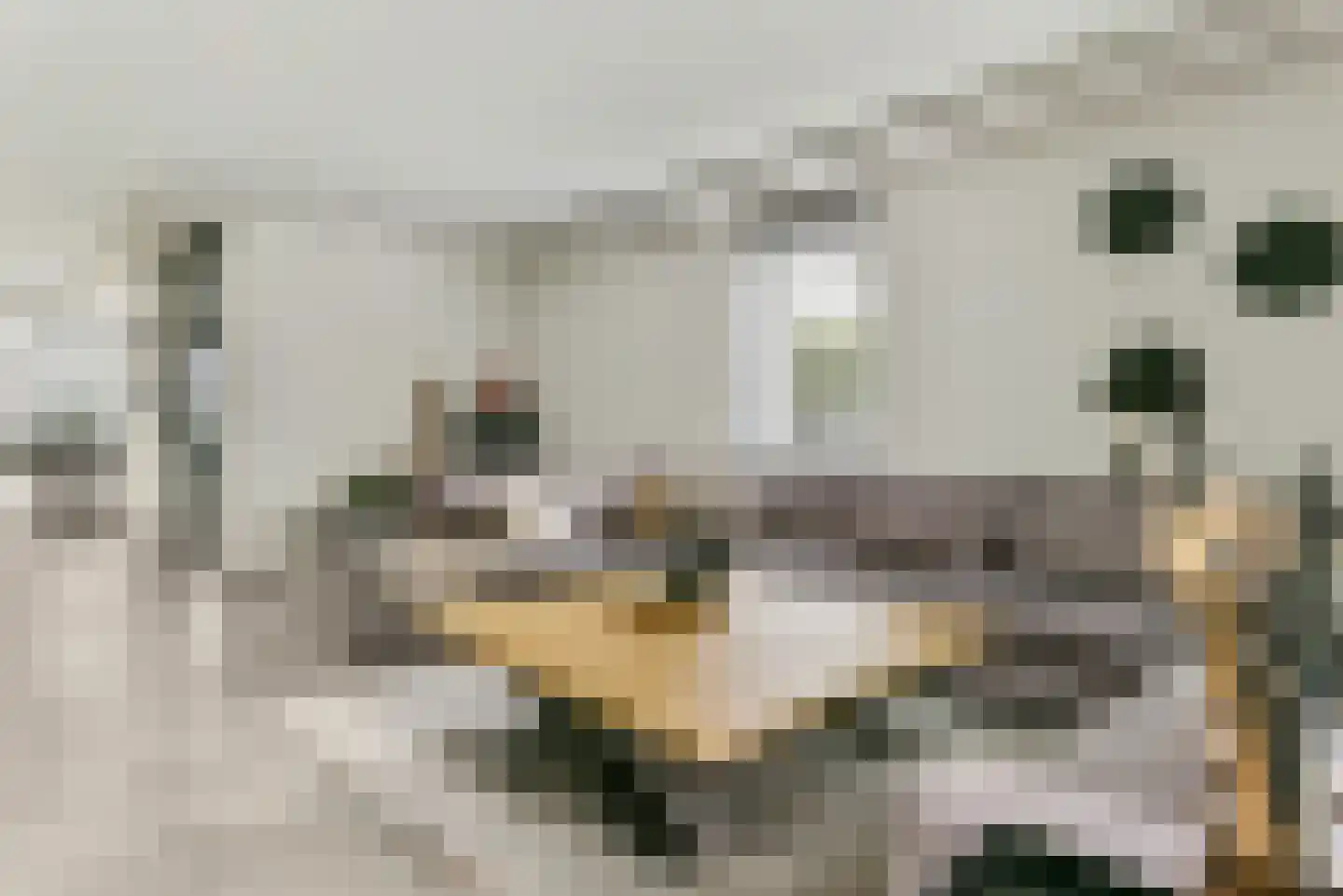 Baak van Scheveningen 55 Amersfoort thumbnail 17