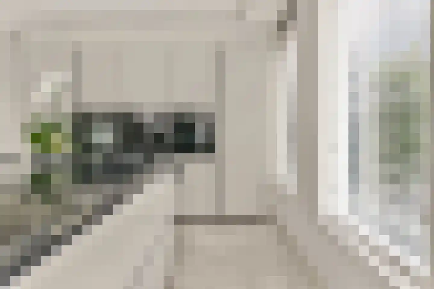 Baak van Scheveningen 55 Amersfoort thumbnail 22