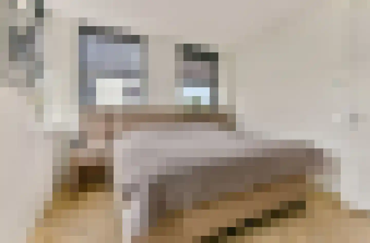 Baak van Scheveningen 55 Amersfoort thumbnail 25