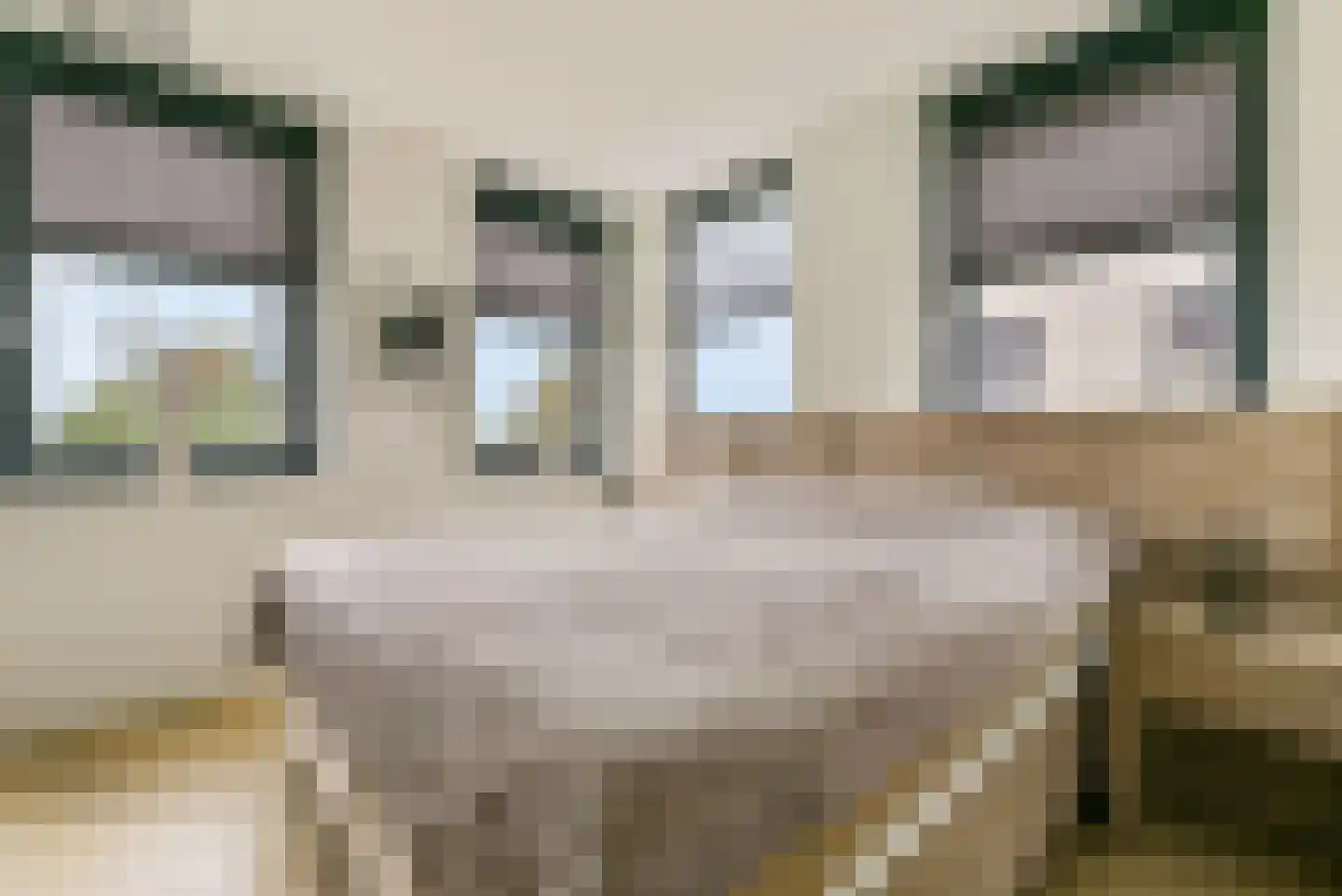 Baak van Scheveningen 55 Amersfoort thumbnail 26