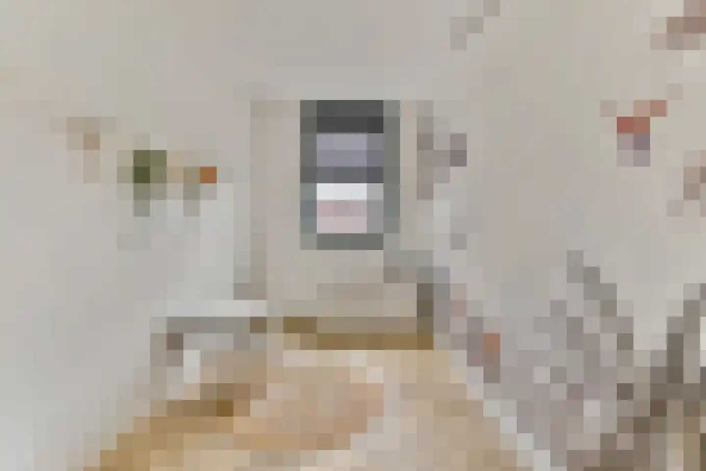 Baak van Scheveningen 55 Amersfoort thumbnail 32