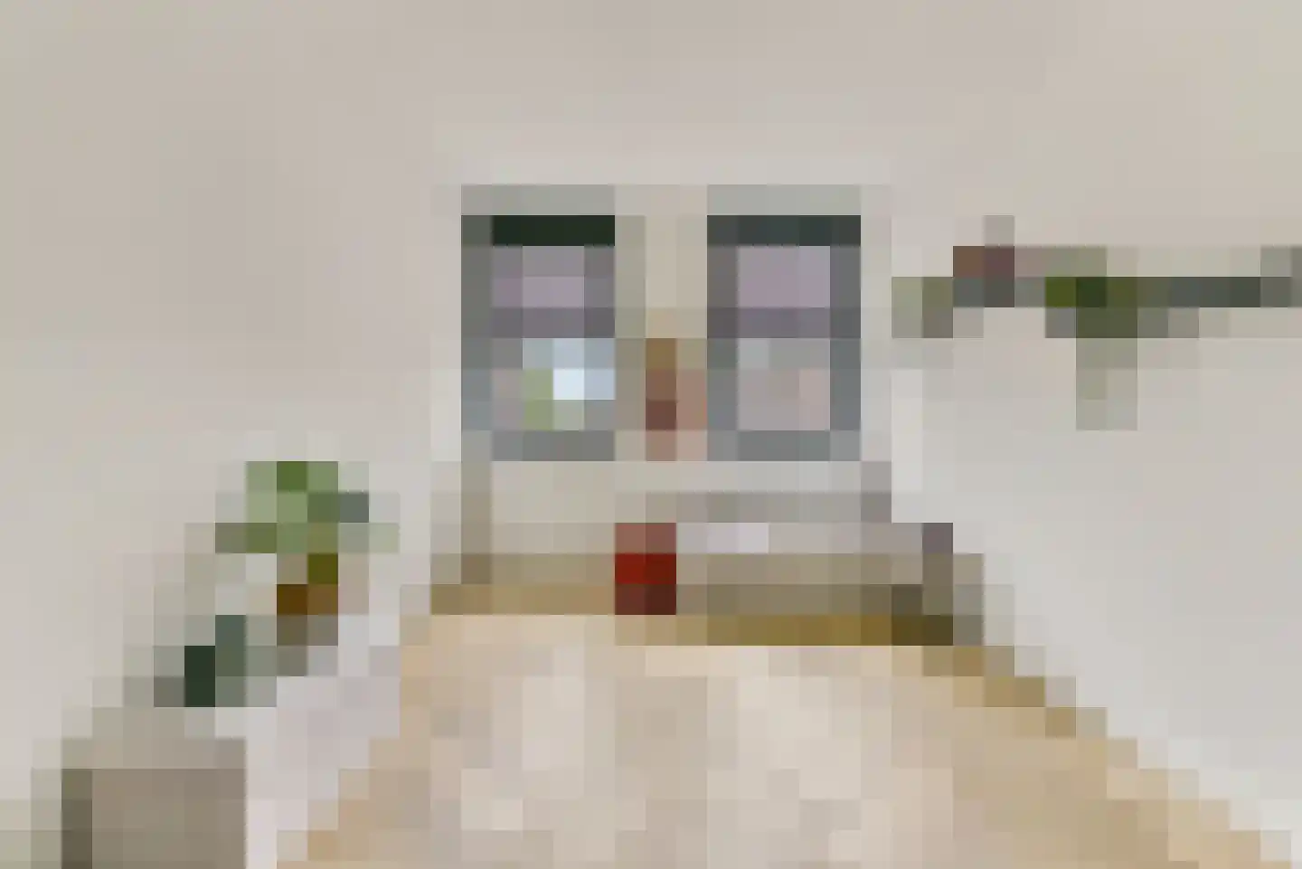 Baak van Scheveningen 55 Amersfoort thumbnail 34