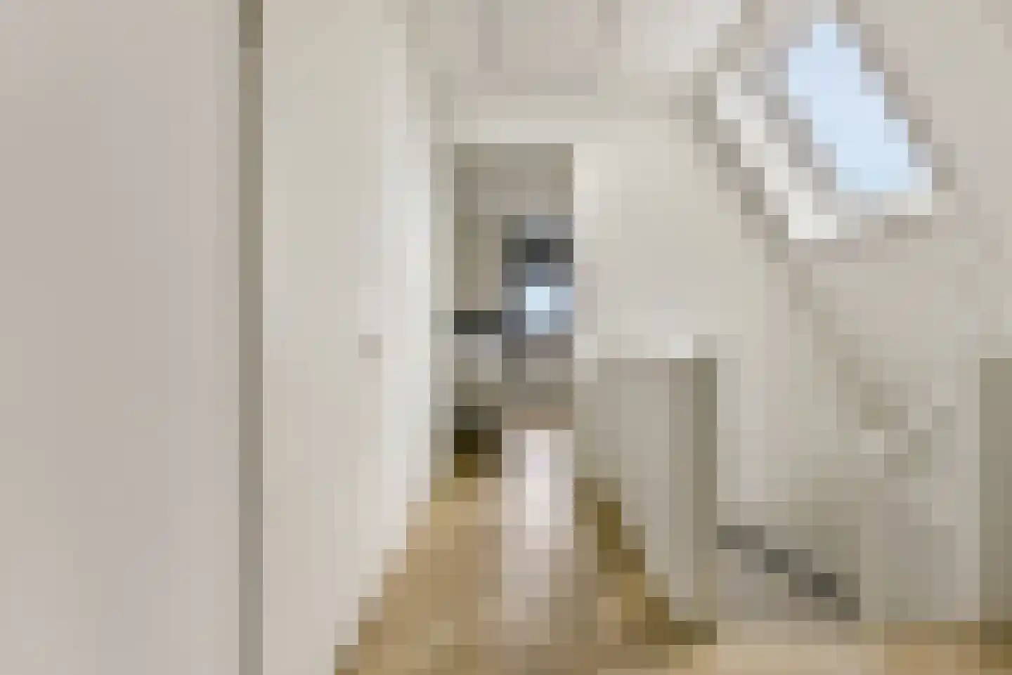 Baak van Scheveningen 55 Amersfoort thumbnail 37